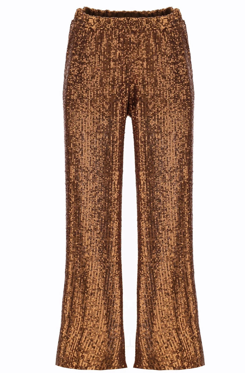 Pantalon Imperial Brown slim à sequins